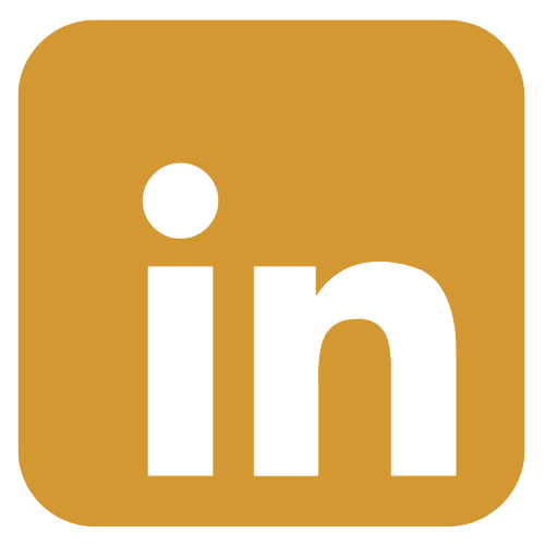 linkdin icon